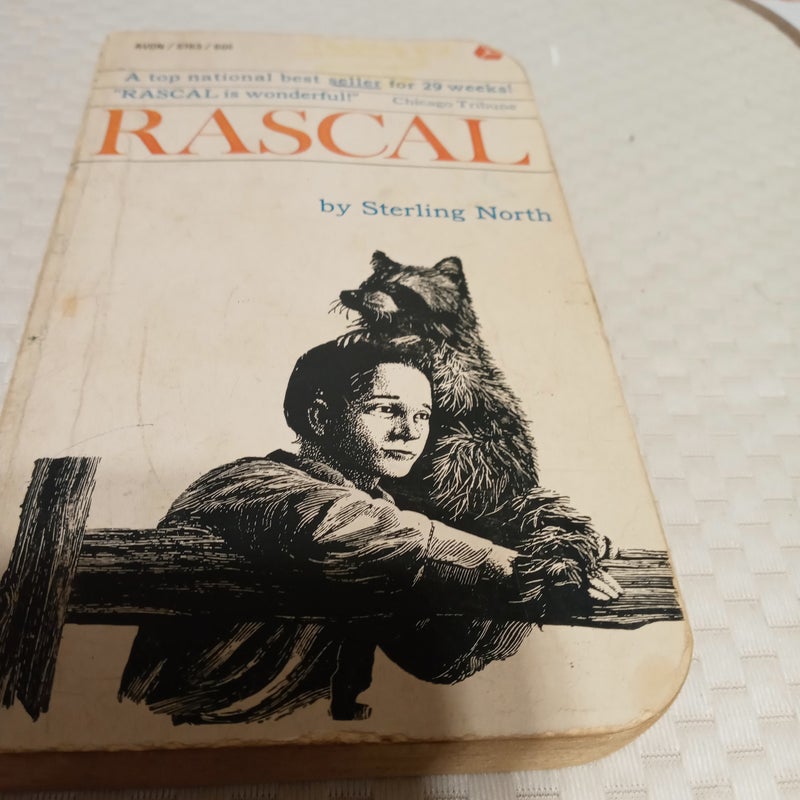 Rascal