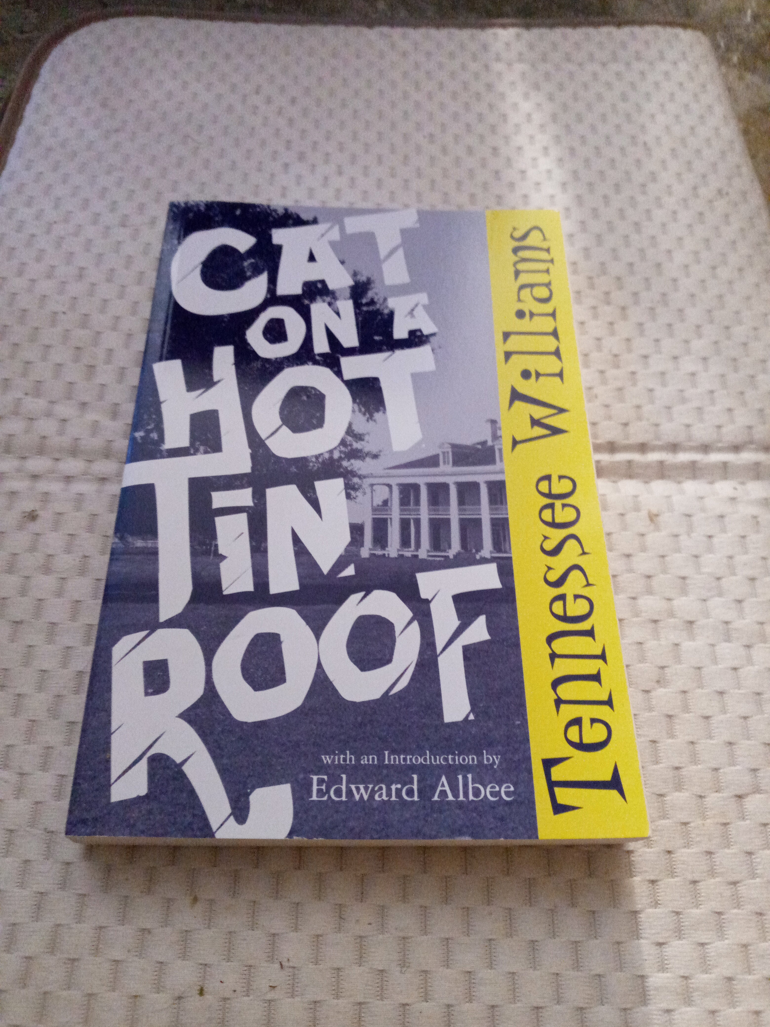 Cat on a Hot Tin Roof