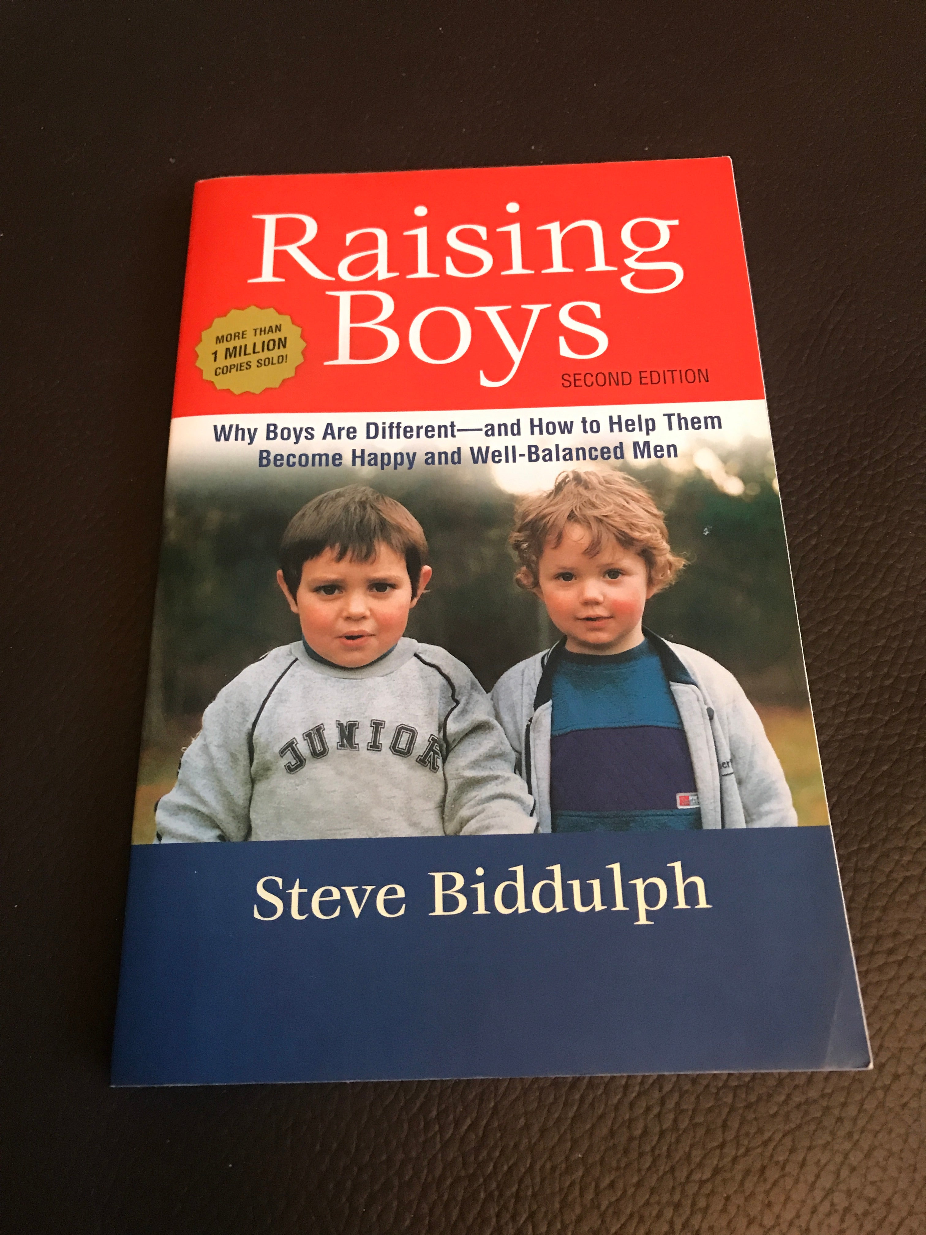 Raising Boys