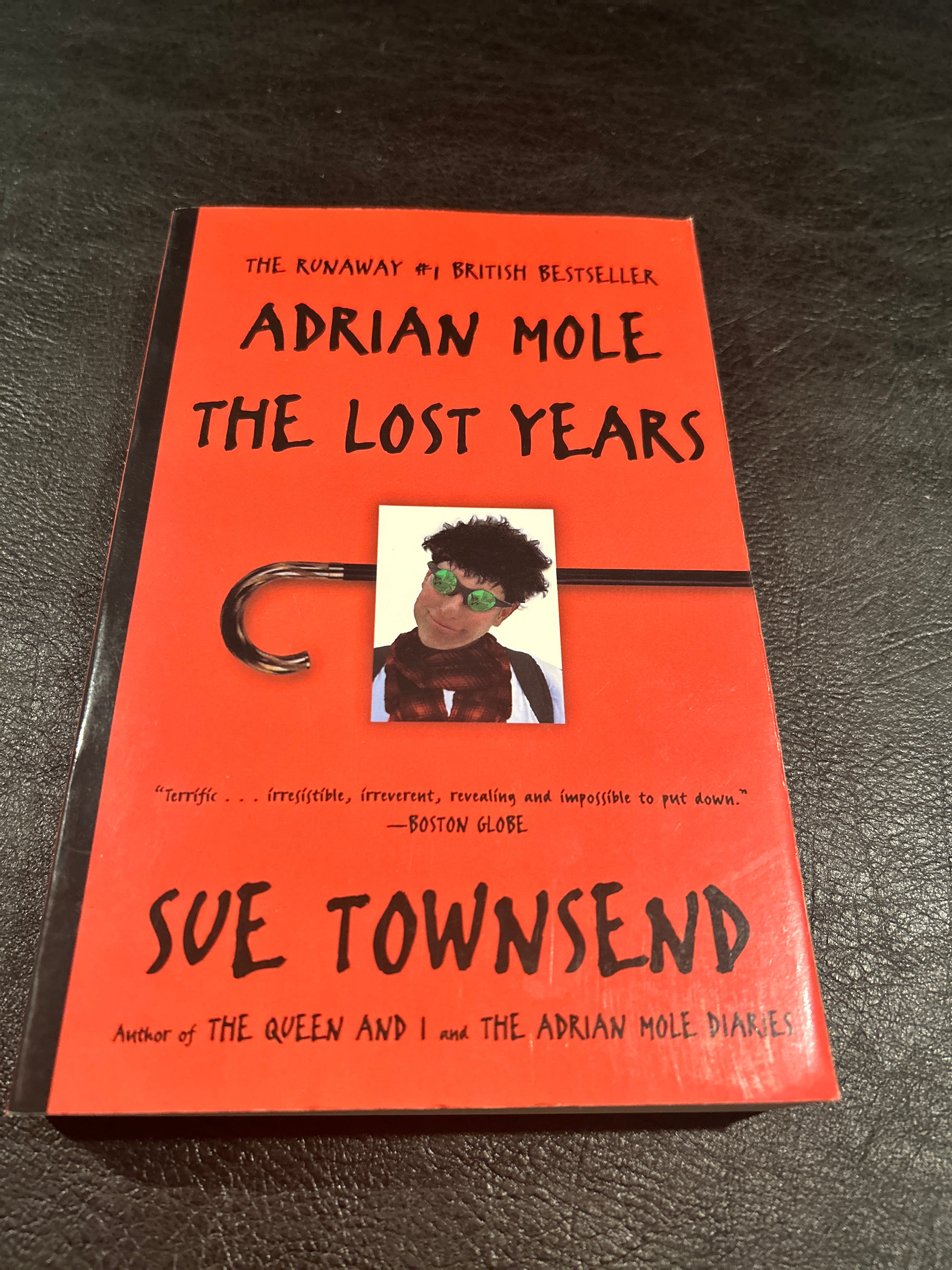 Adrian Mole the Wilderness Years by S. U. E. TOWNSEND