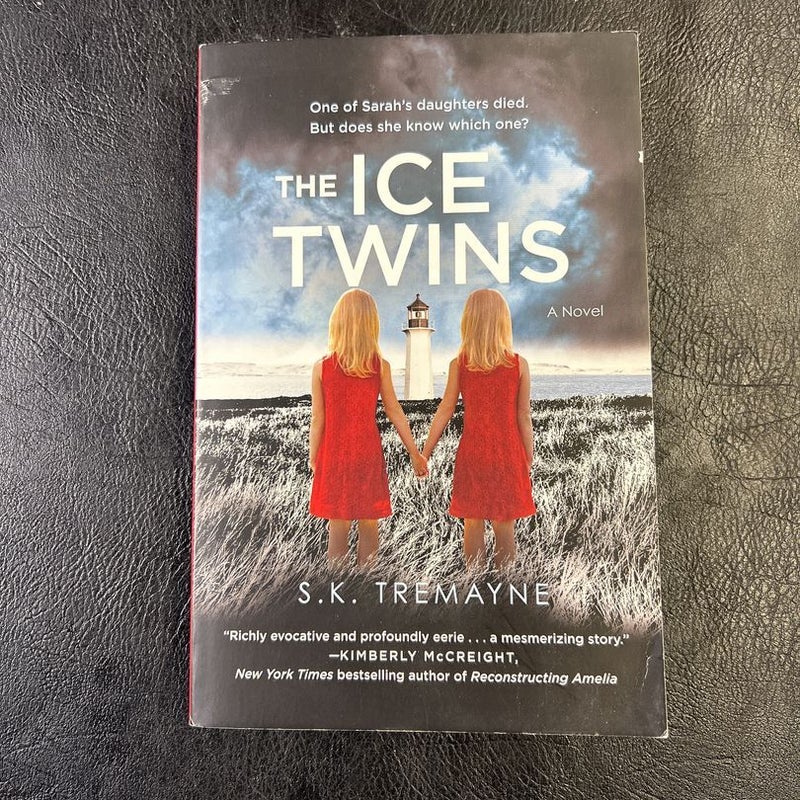 The Ice Twins