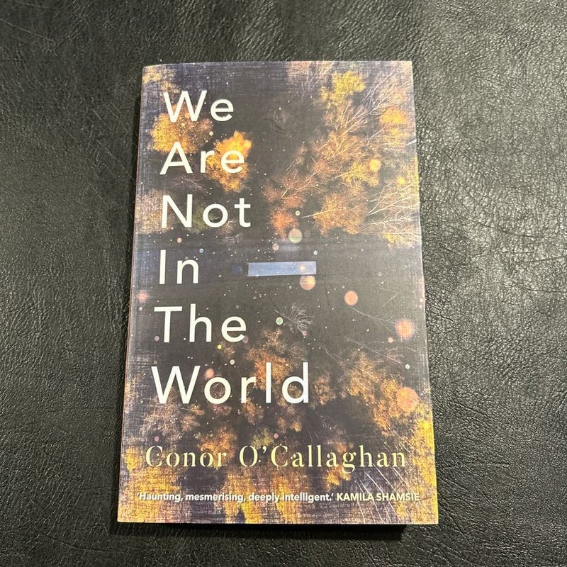 We Are Not in the World