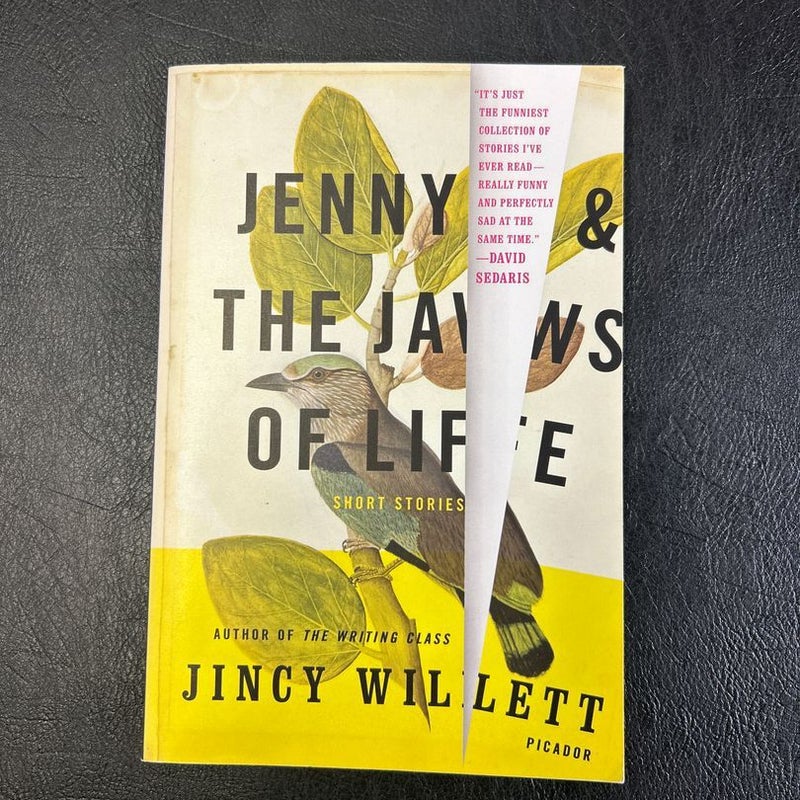 Jenny and the Jaws of Life: Short Stories