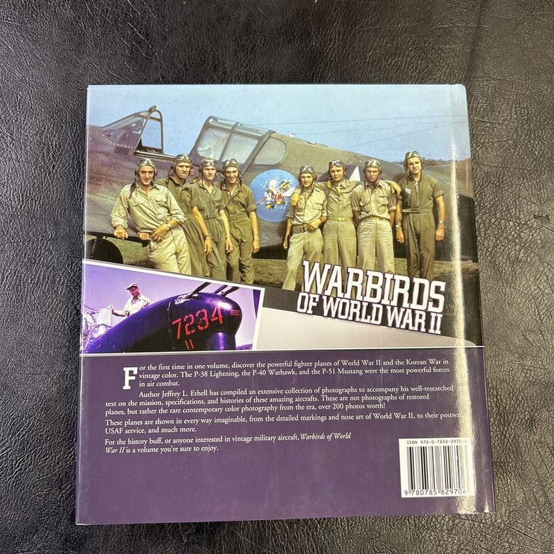 Warbirds of World War II