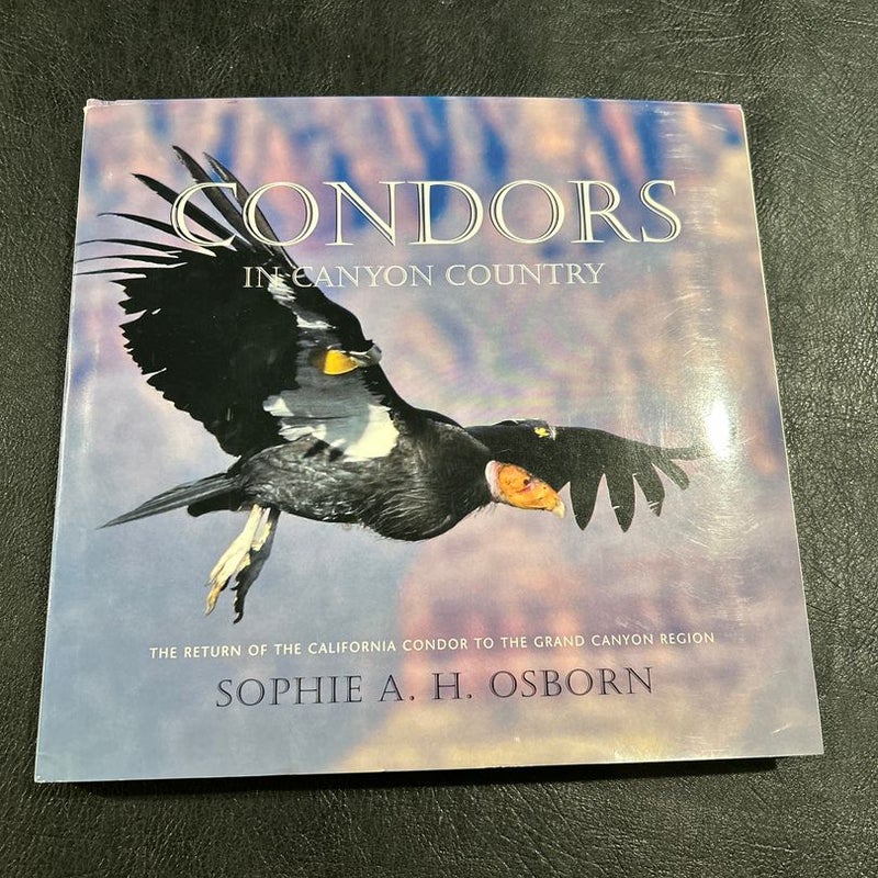 Condors in Canyon Country