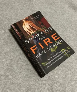 Playing with Fire, Book by Kate Meader, Official Publisher Page