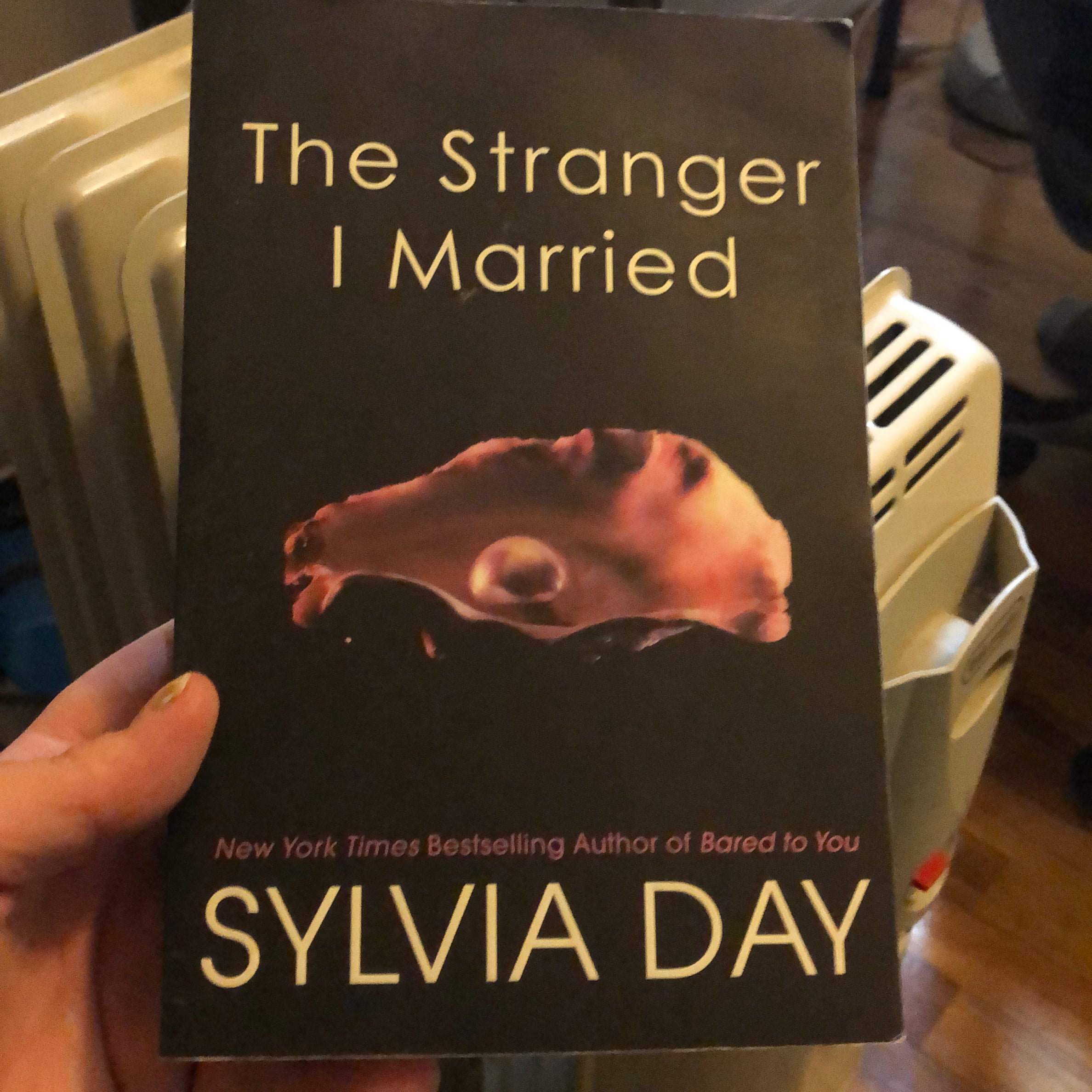 The Stranger I Married