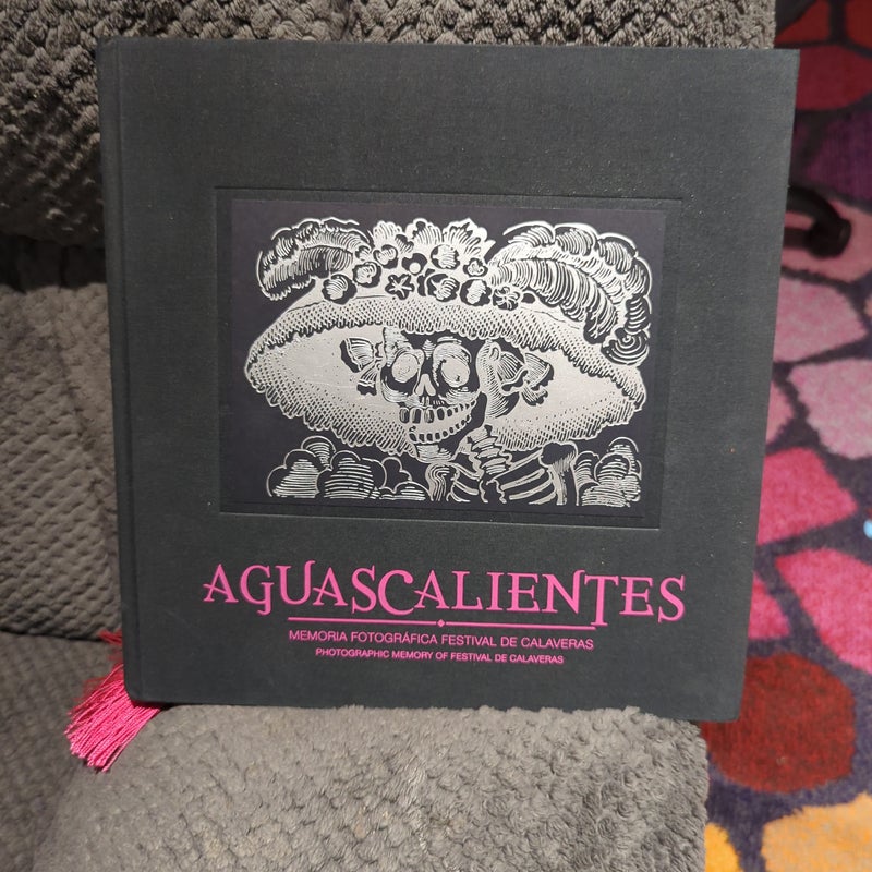 Aguascalientes photographic memory of festival de cavaleras