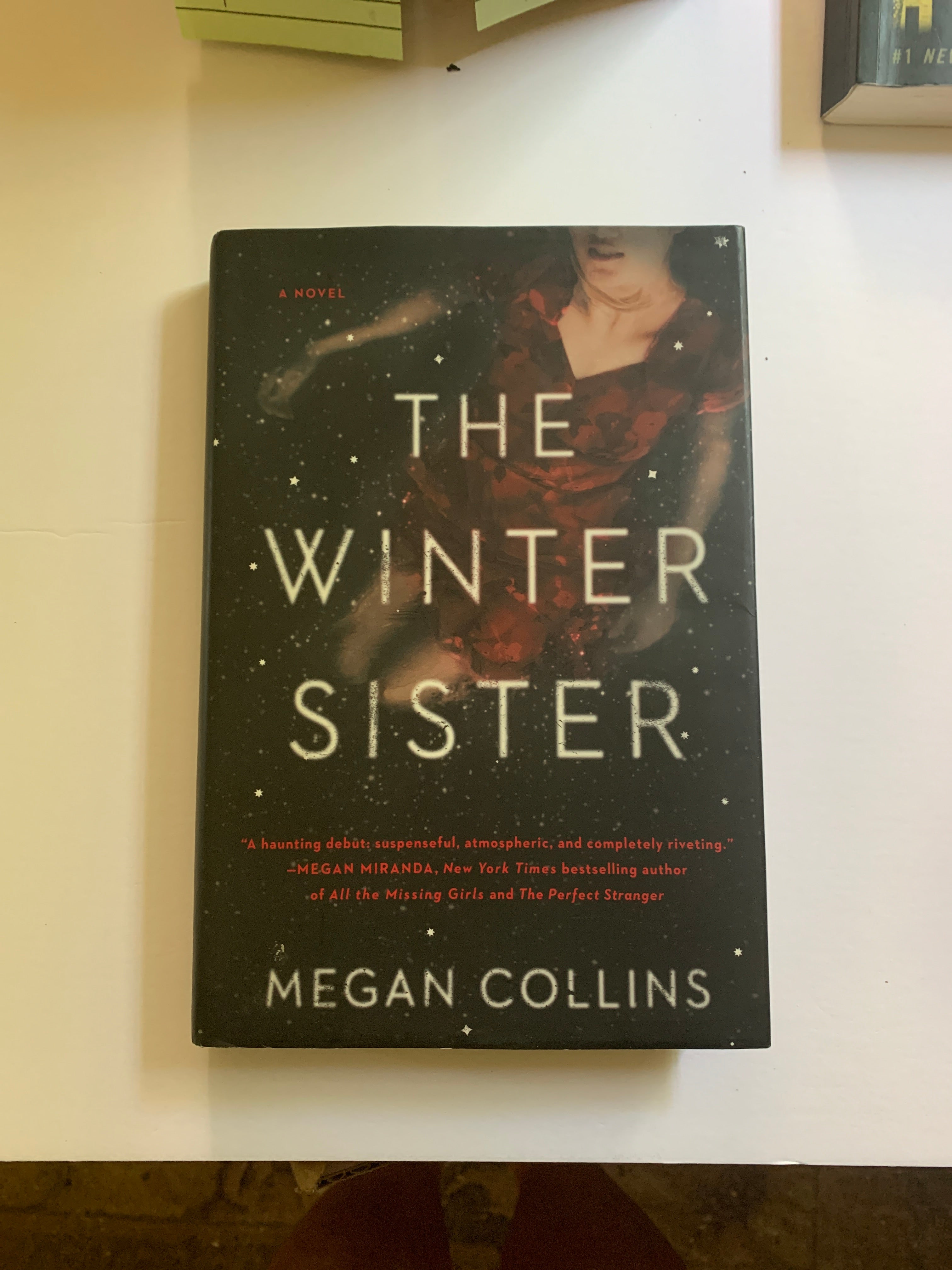 The Winter Sister