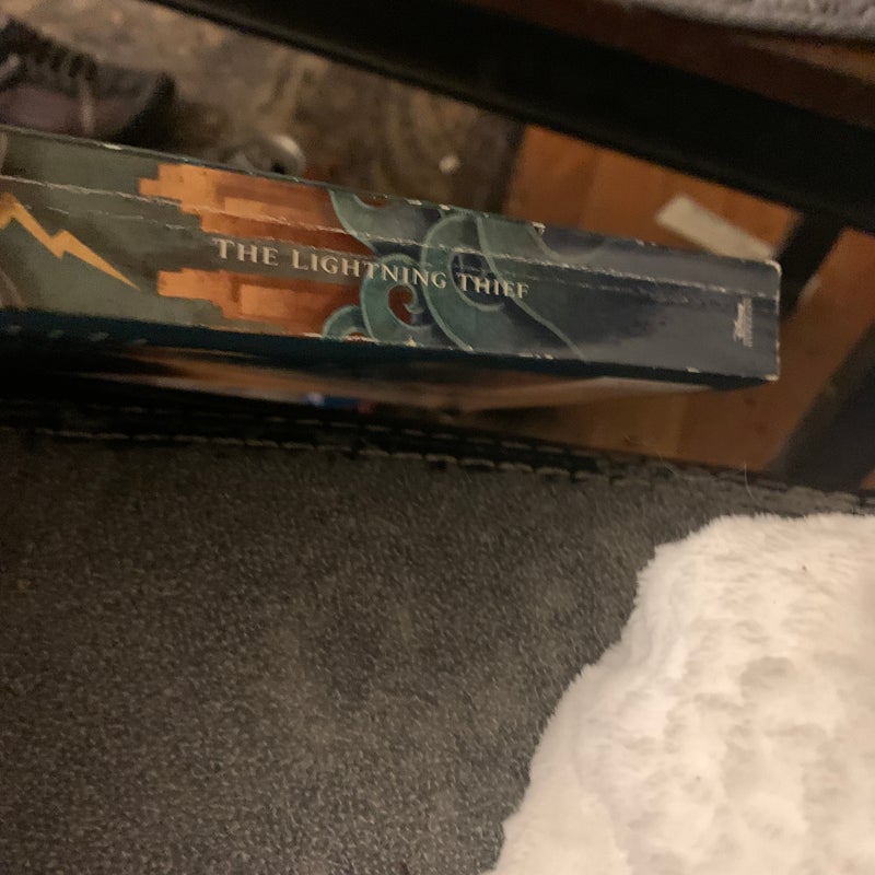 The Lightning Thief (Percy Jackson and the Olympians, Book One)