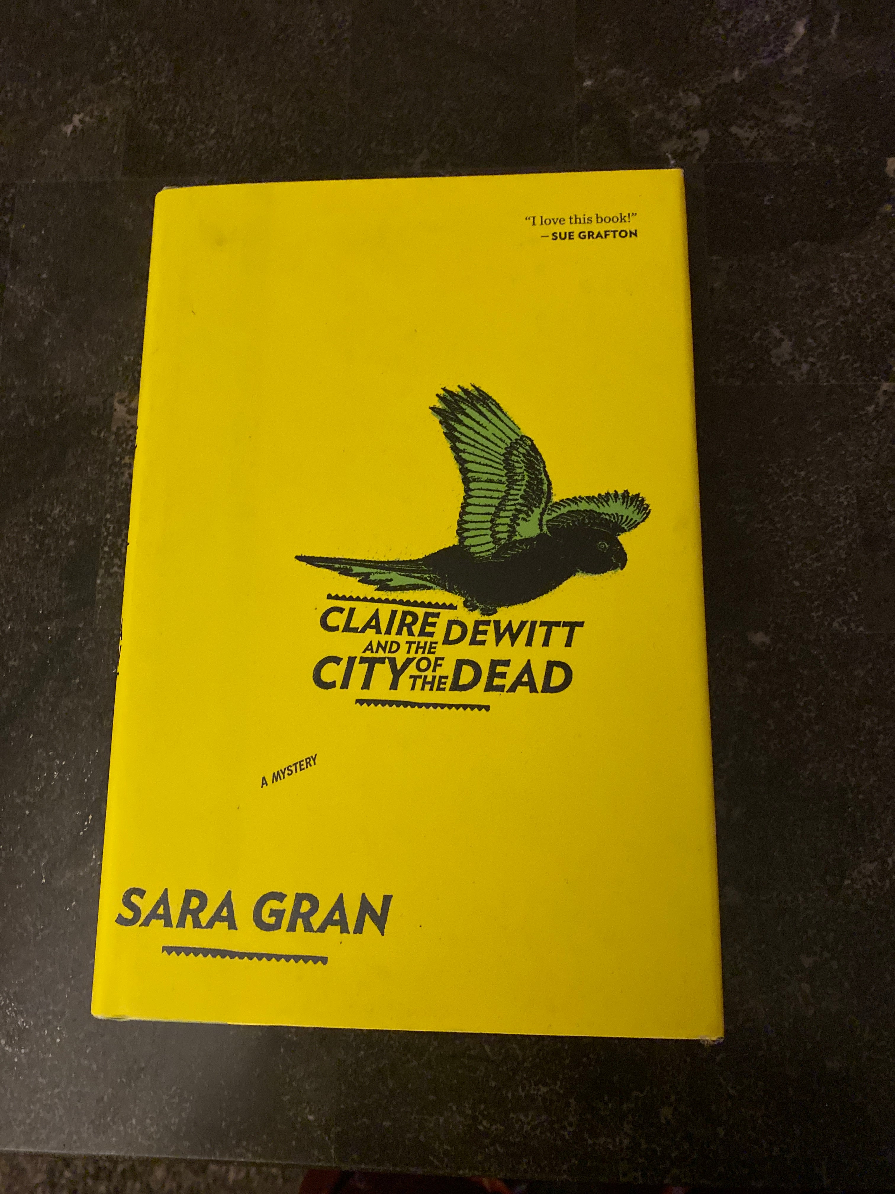 Claire Dewitt and the City of the Dead