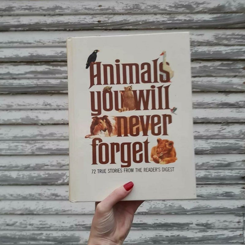 Animals You Will Never Forget