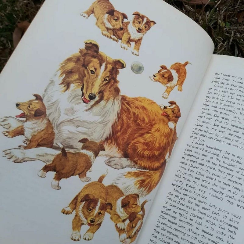Animals You Will Never Forget