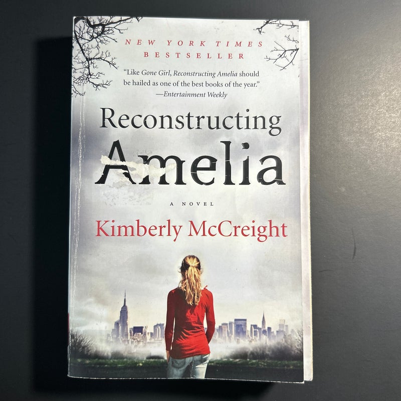 Reconstructing Amelia