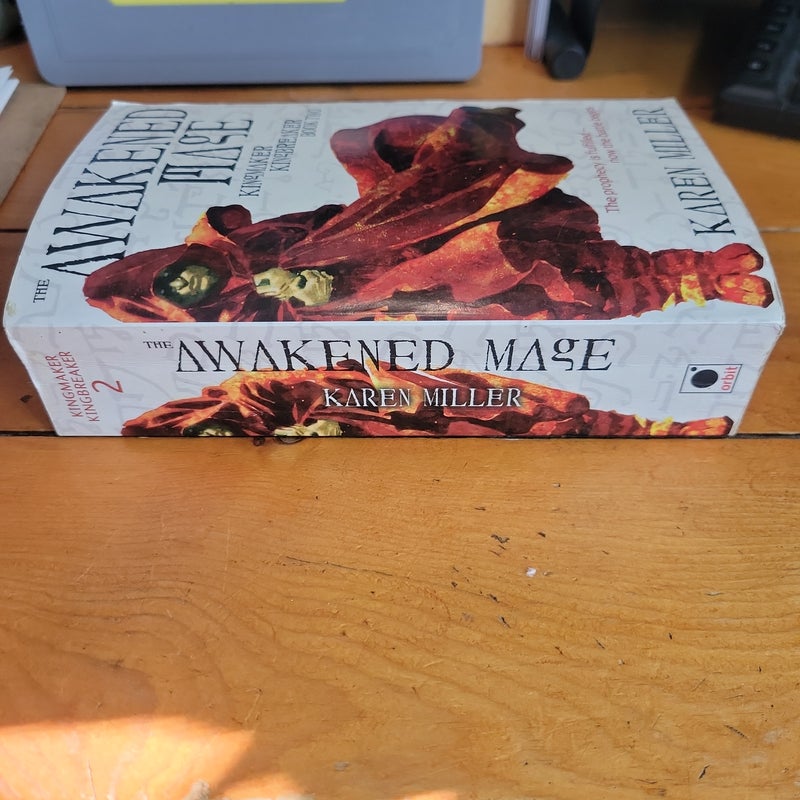 The Awakened Mage