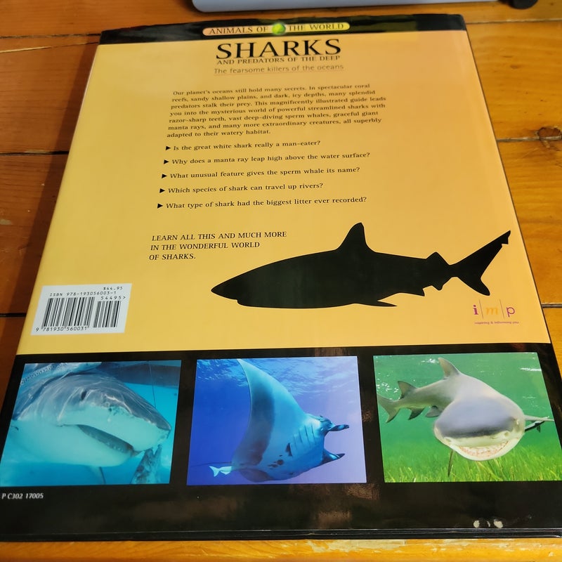 Sharks and predators of the deep