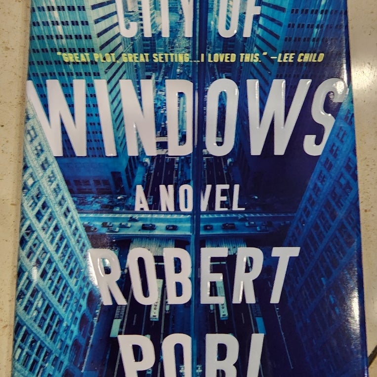 City of Windows by Robert Pobi Hardcover Book Novel Fiction