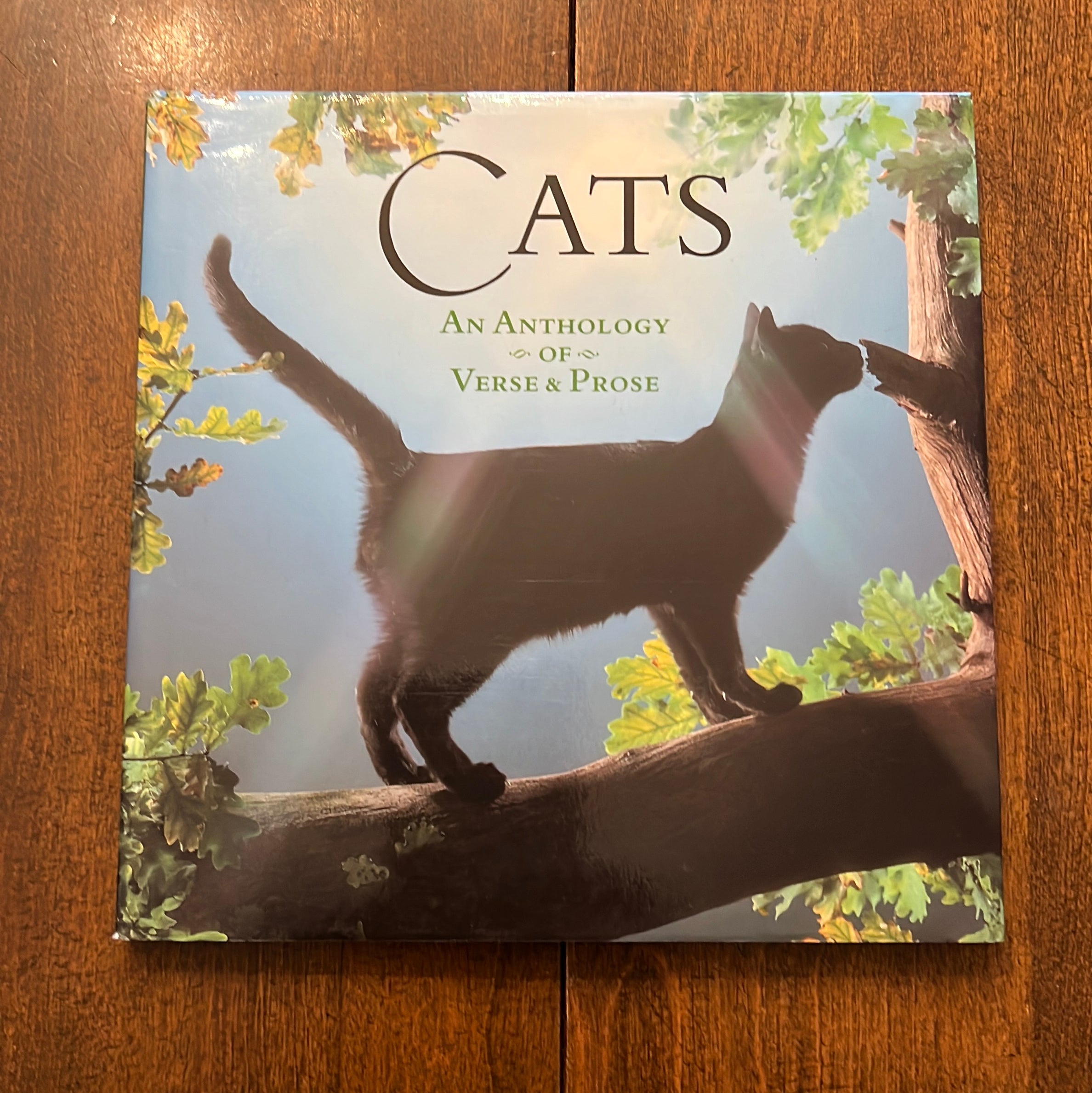 Cats
