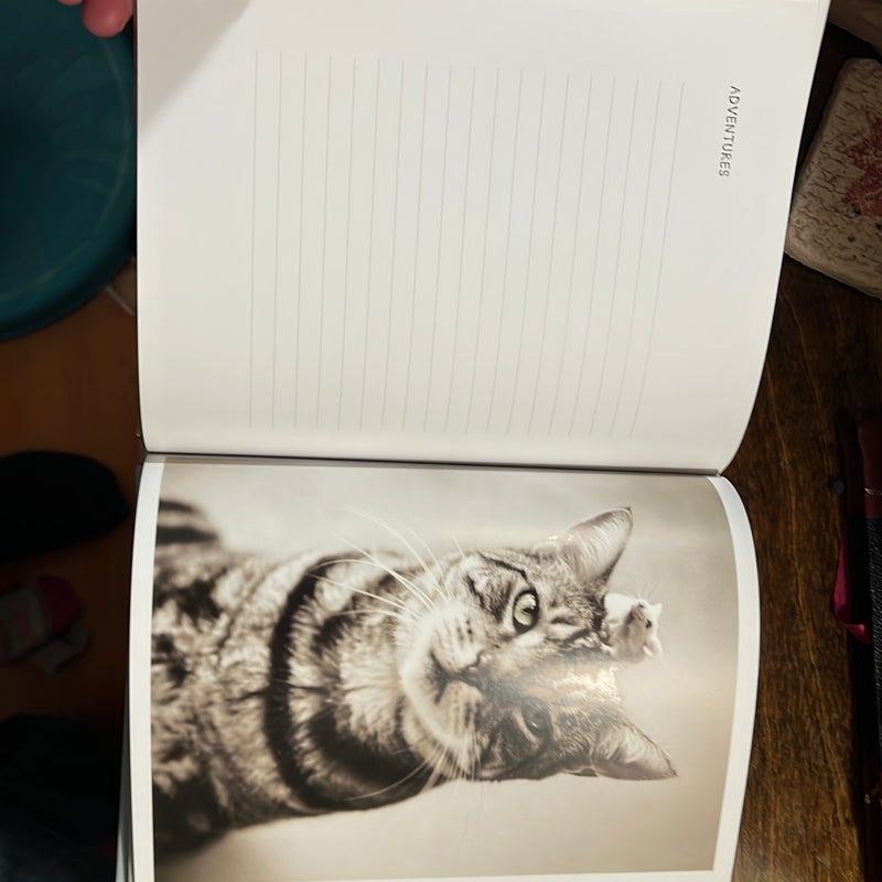My Cat Record Book