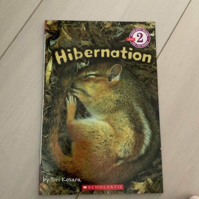 Hibernation