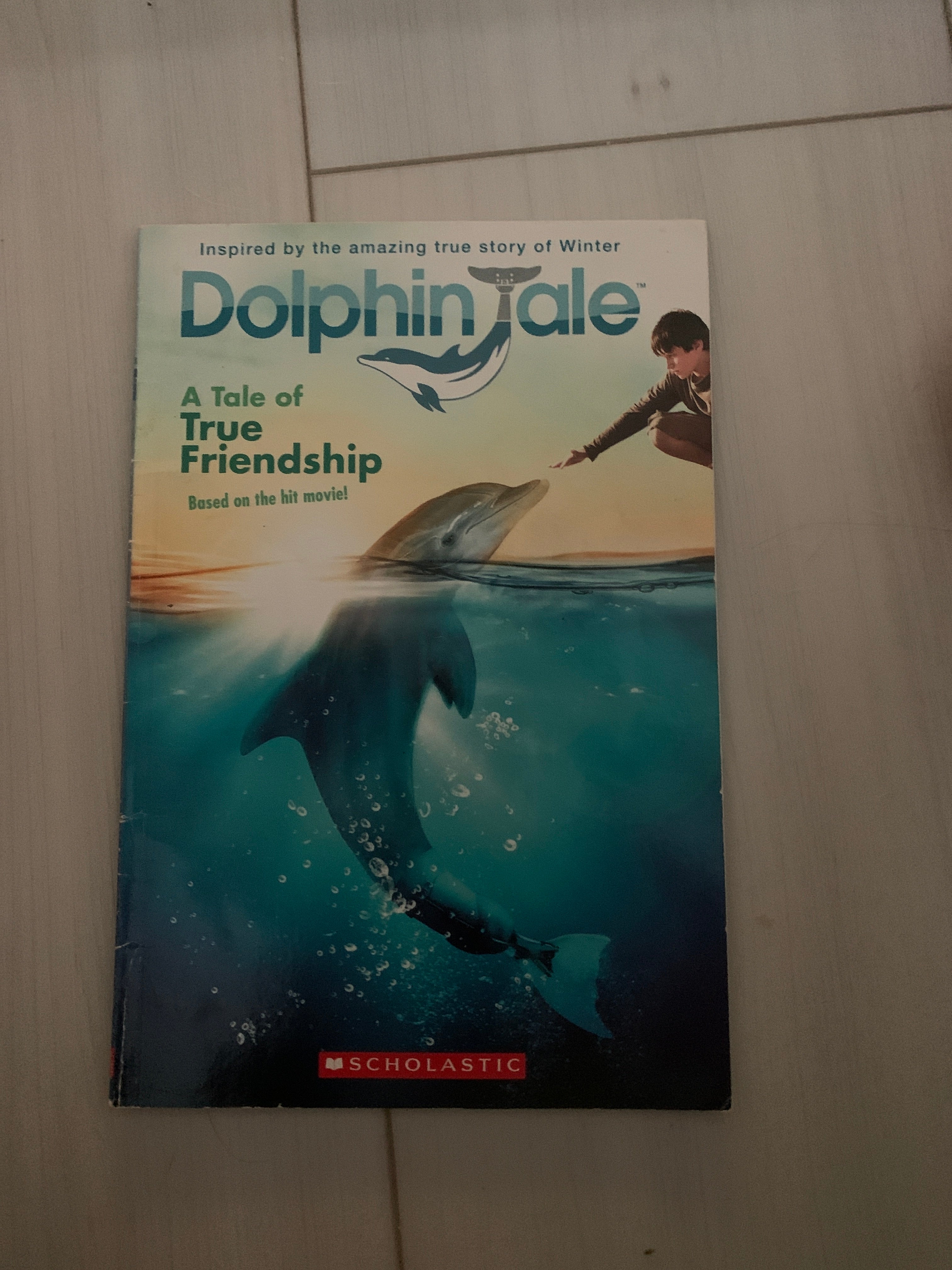 Dolphin Tale