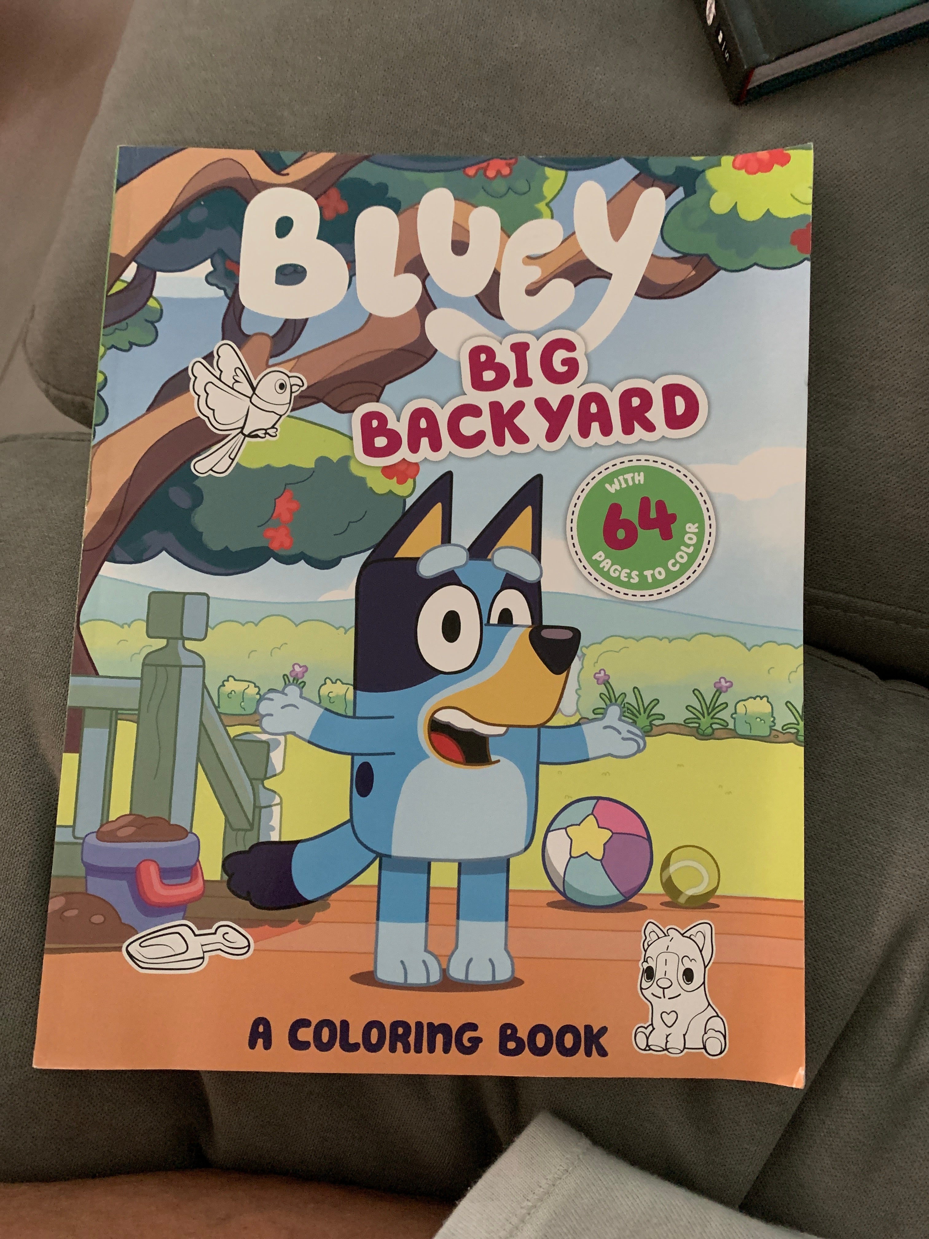 Jual Bluey: Let's Play Outside! : Magnet Book By Bluey Di Seller Bane - Foto 2