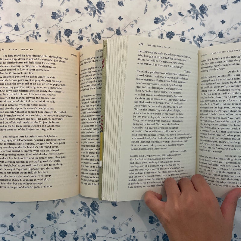 The Iliad and The Aeneid