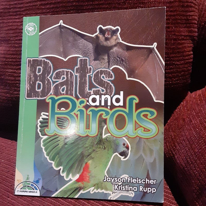 Bats and Birds