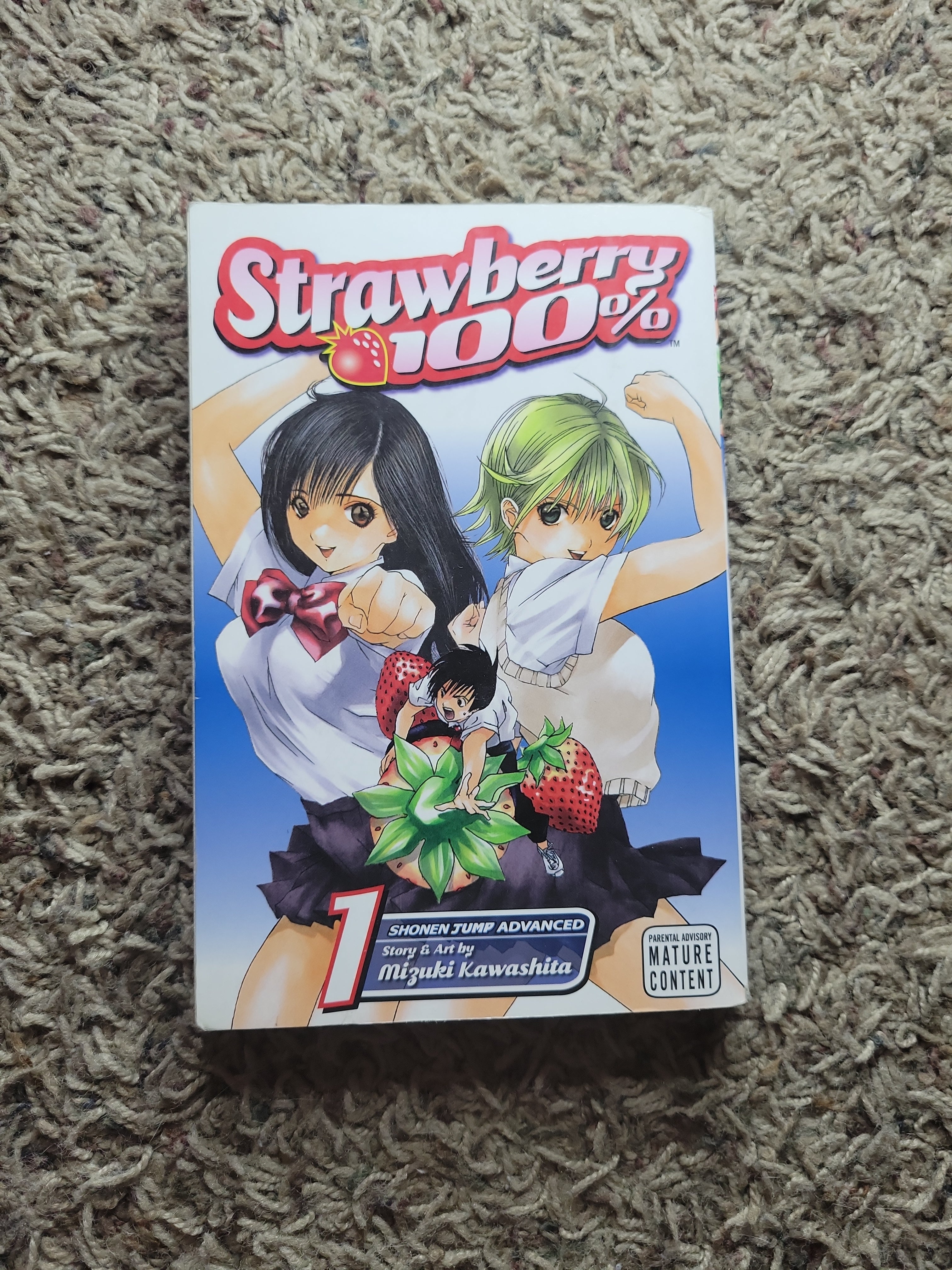 Strawberry 100%, Vol. 1