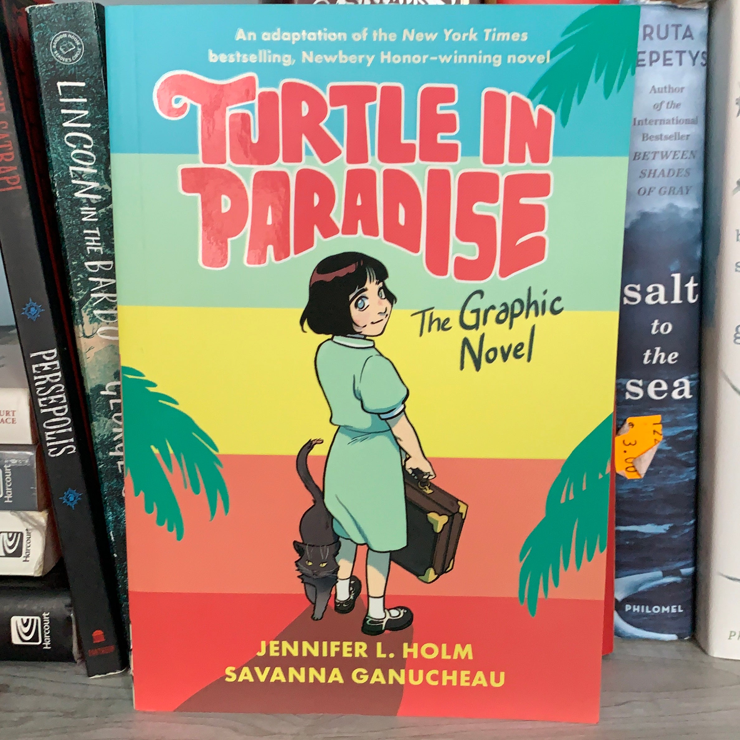 Turtle in Paradise