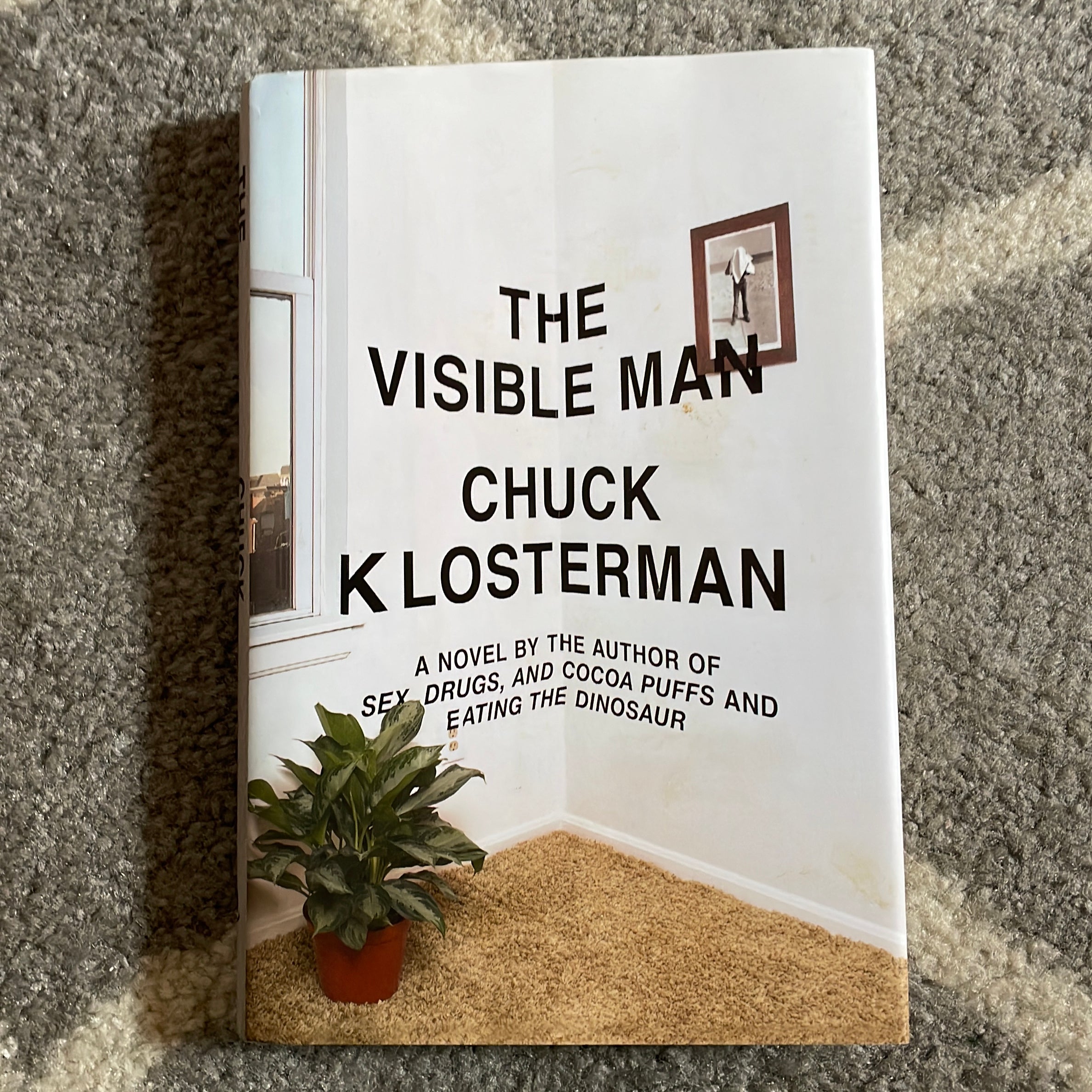 The Visible Man