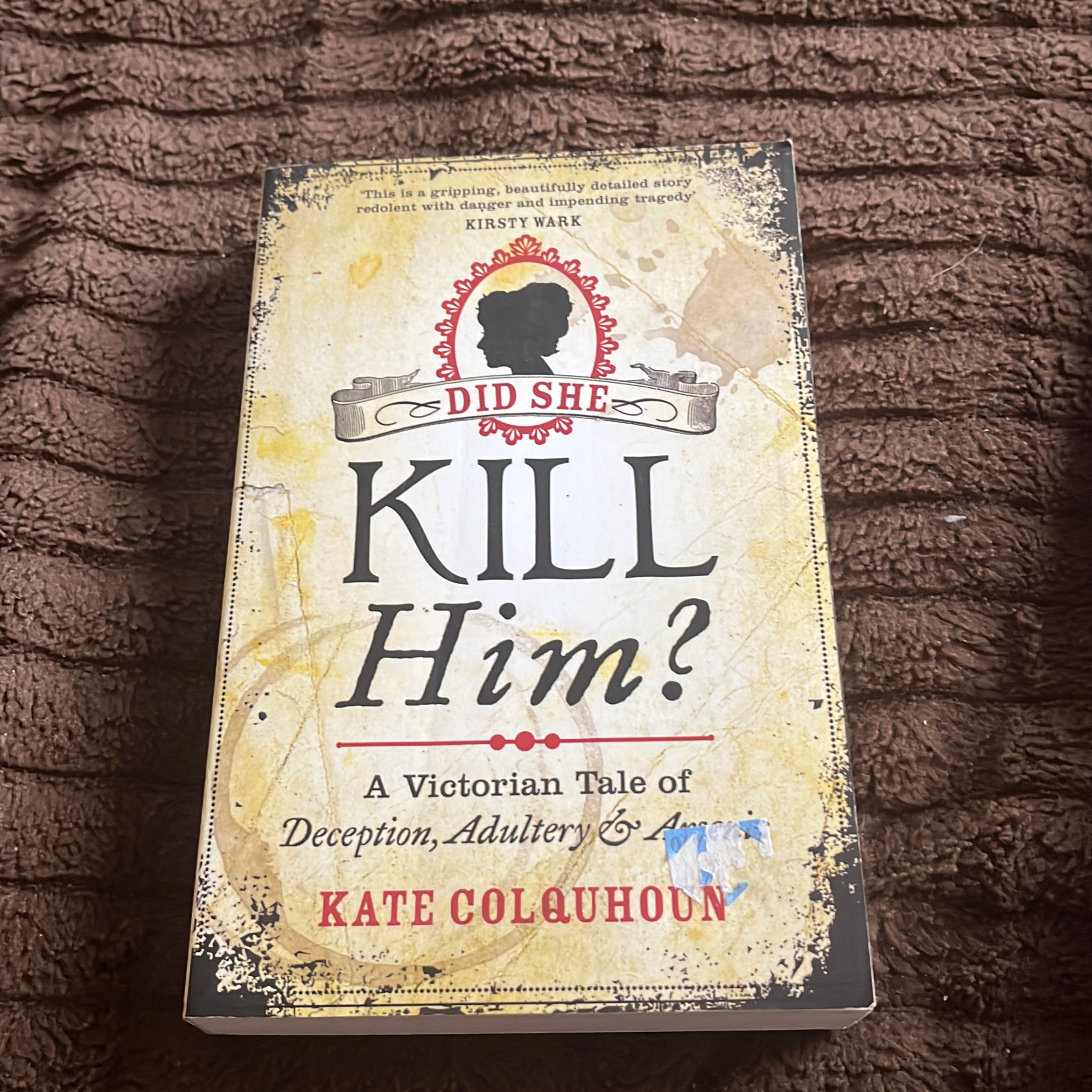 Did She Kill Him? a Victorian Tale of Deception, Adultery and Arsenic