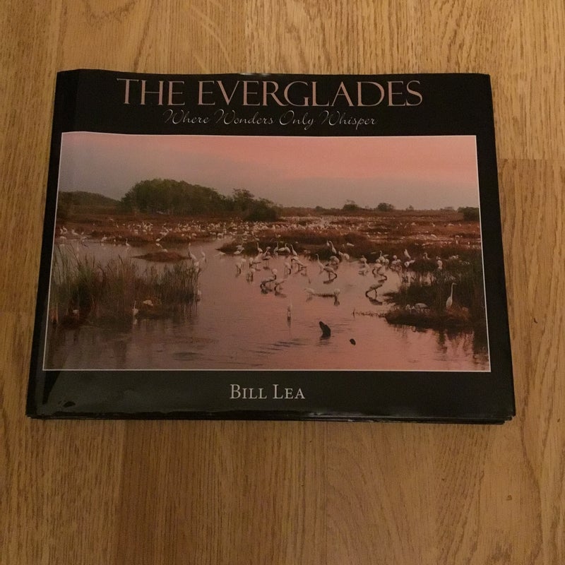 The Everglades