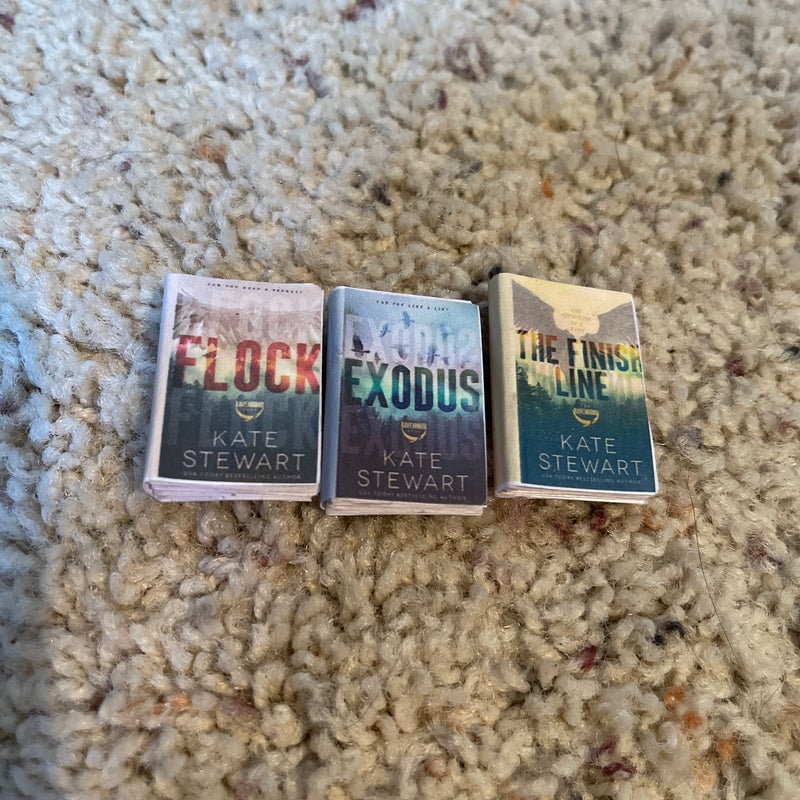 The Ravenhood Trilogy Mini Books (NOT REAL BOOKS)