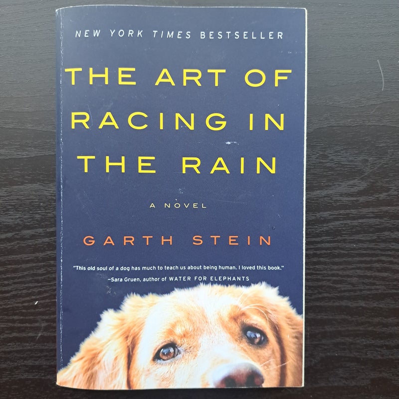 The Art of Racing in the Rain