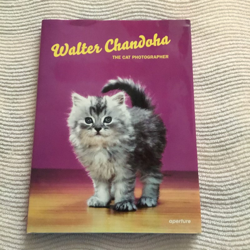 Walter Chandoha: the Cat Photographer
