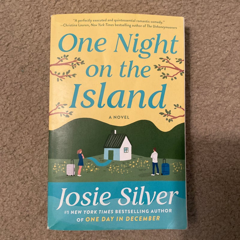 One Night on the Island