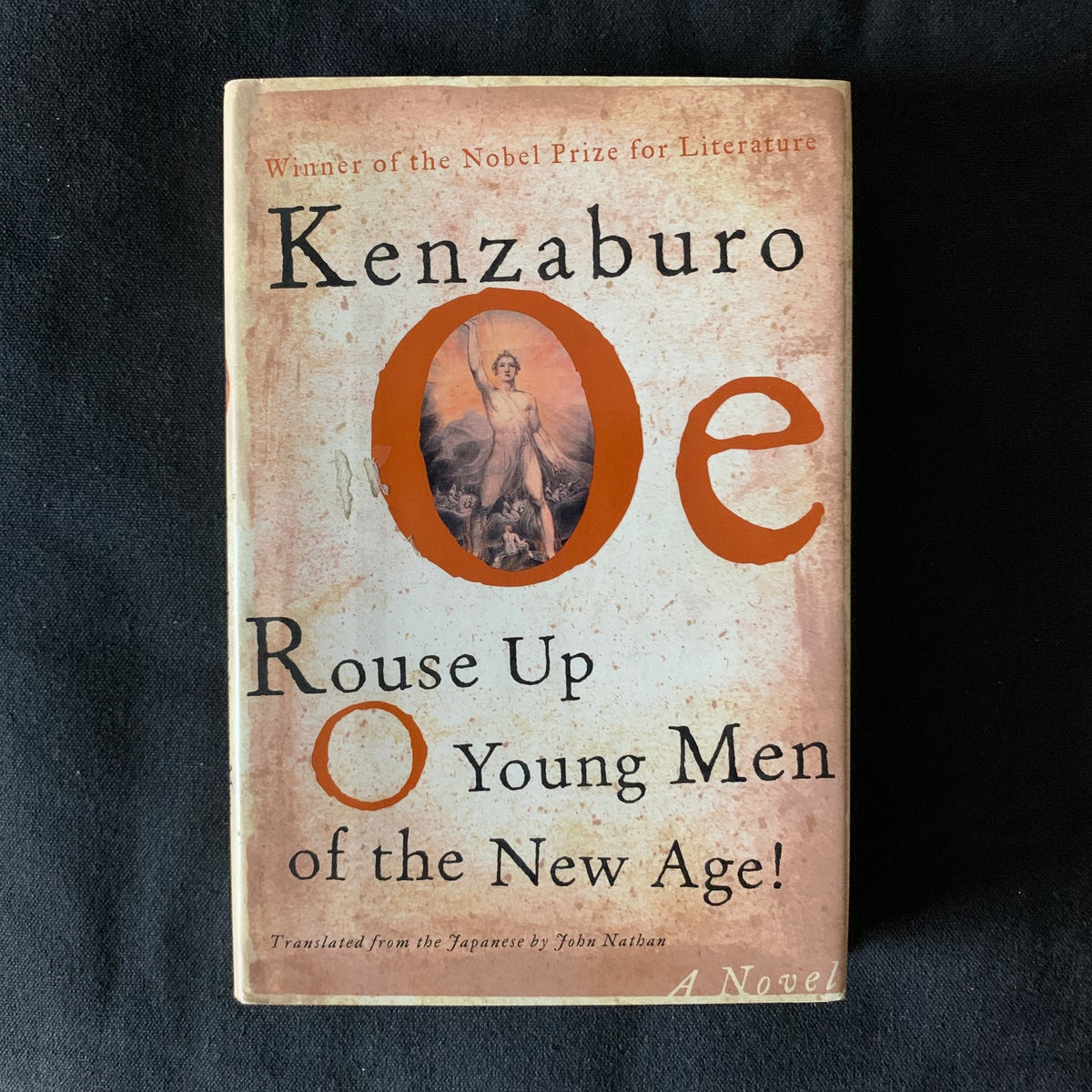 Rouse Up, O Young Men of the New Age by Kenzaburô Ôe