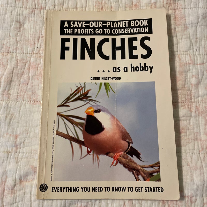 Finches As a Hobby