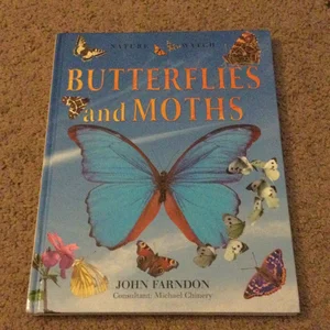 Butterflies and Moths