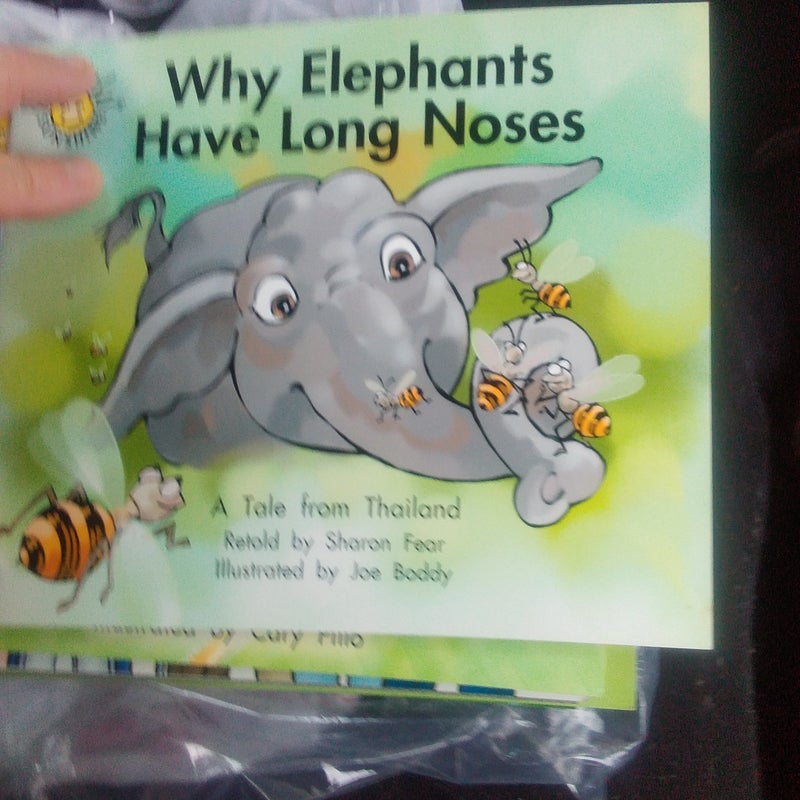 Why elephants have long noses