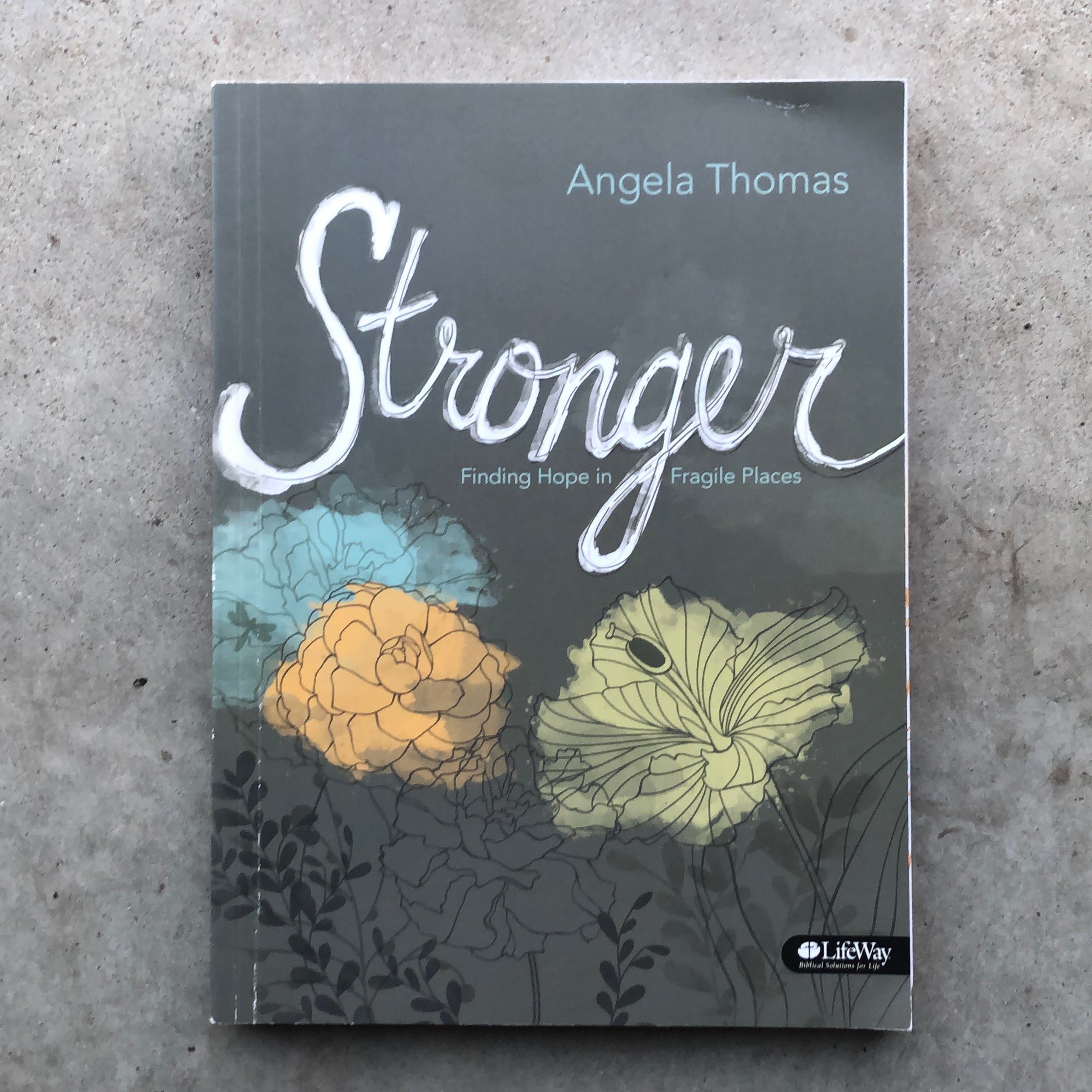 Stronger - Bible Study Book