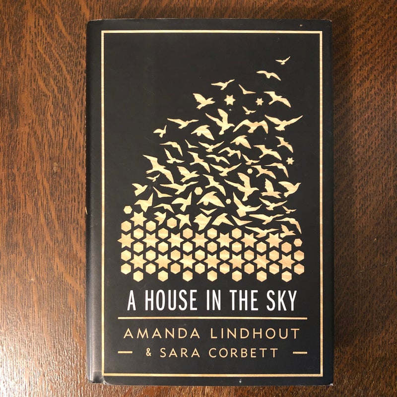 A House in the Sky