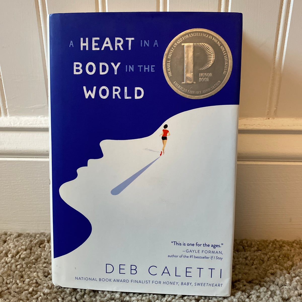 A Heart in a Body in the World by Deb Caletti, Hardcover | Pangobooks