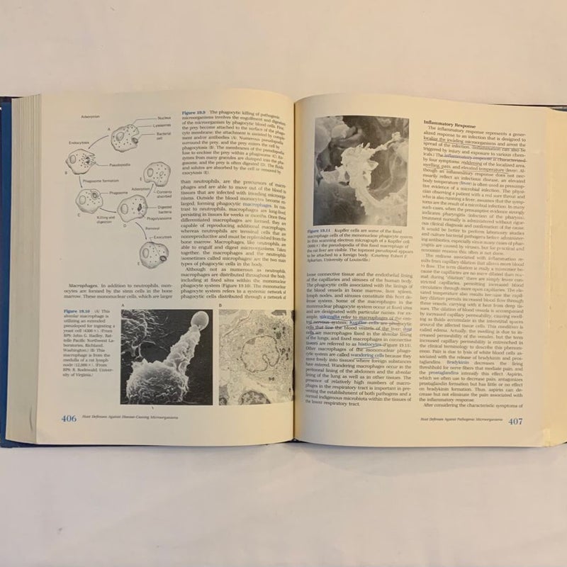 Basic and Practical Microbiology 1986 Hardback Ronald M Atlas 