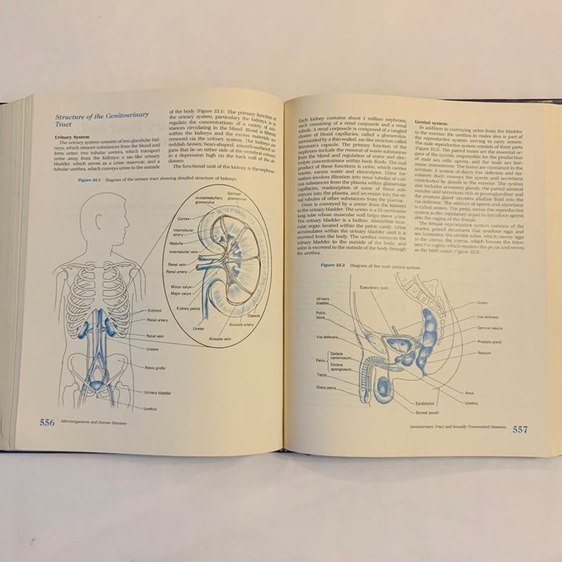 Basic and Practical Microbiology 1986 Hardback Ronald M Atlas 