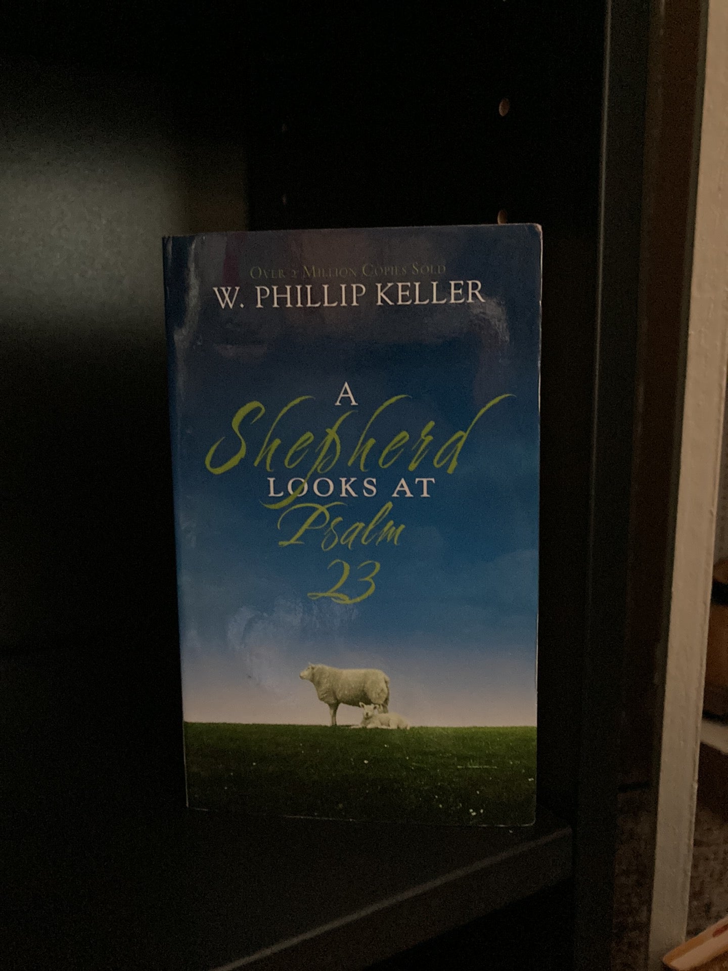 A Shepherd Looks at Psalm 23