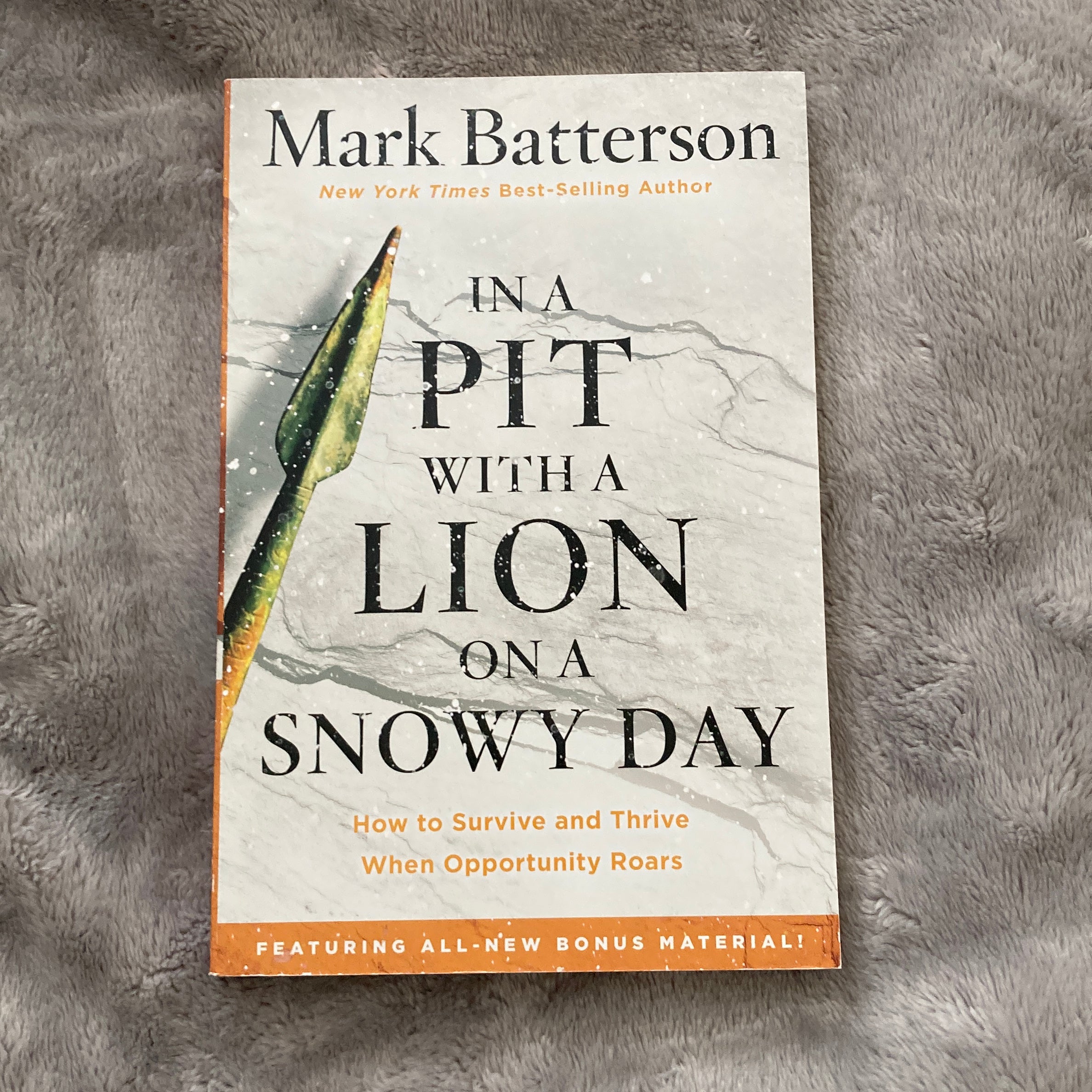 In a Pit with a Lion on a Snowy Day