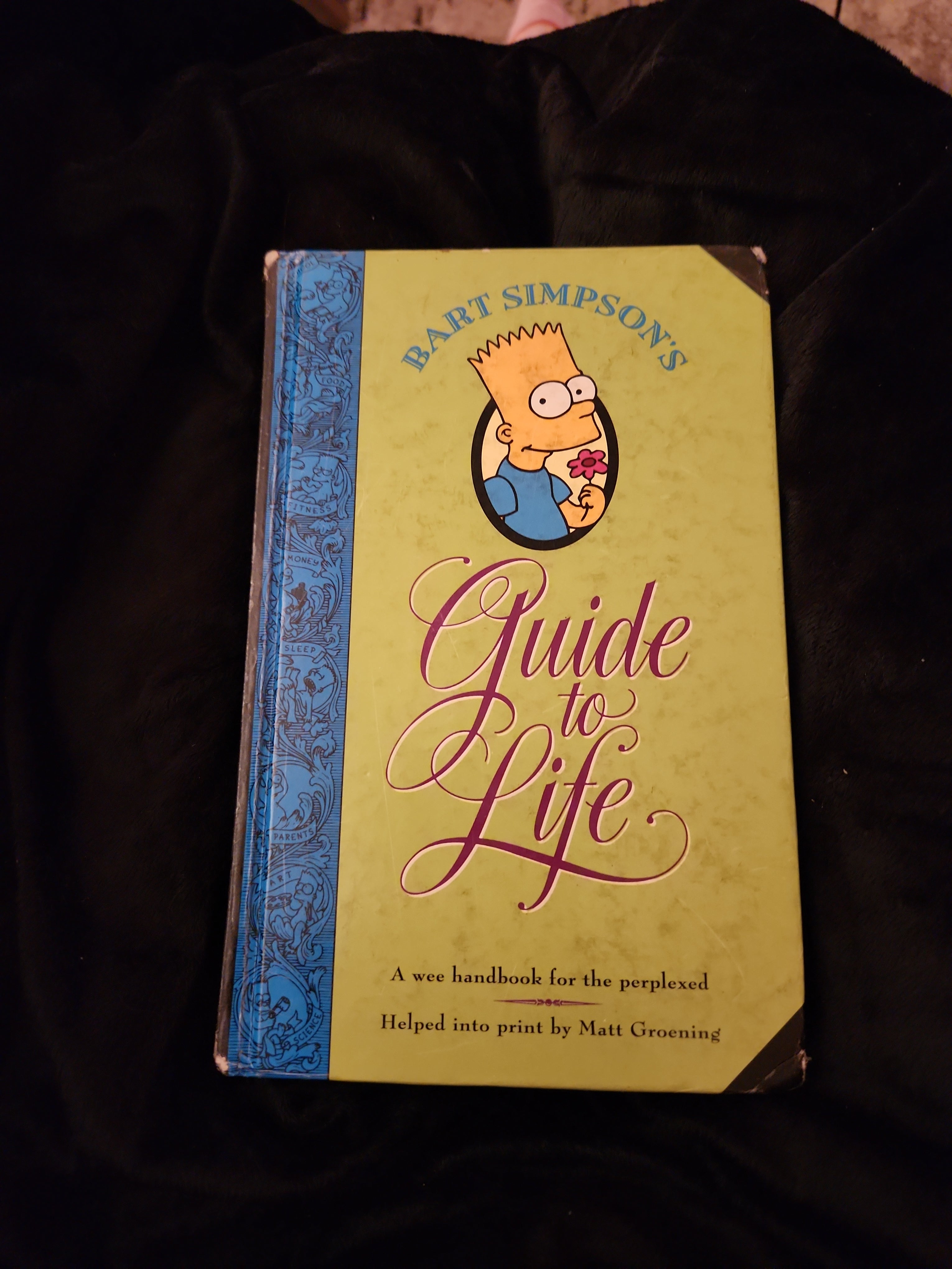 Bart Simpson's Guide to Life