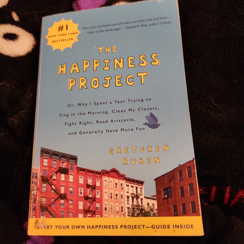 The Happiness Project